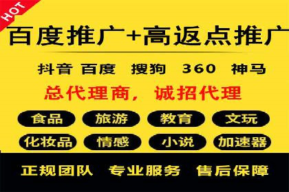 成功案例：sem竞价托管的智慧与策略